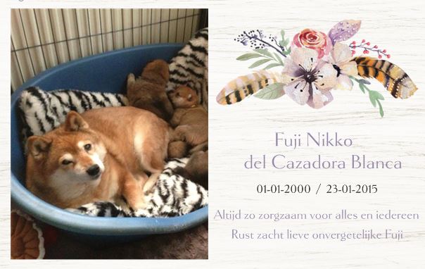 Fuji Nikko del Cazadora Blanca